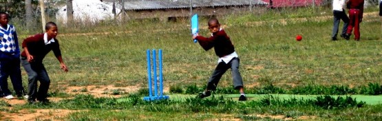 cricket coaching south africa