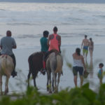 Volunteers and locals ride and walk horses along the beach