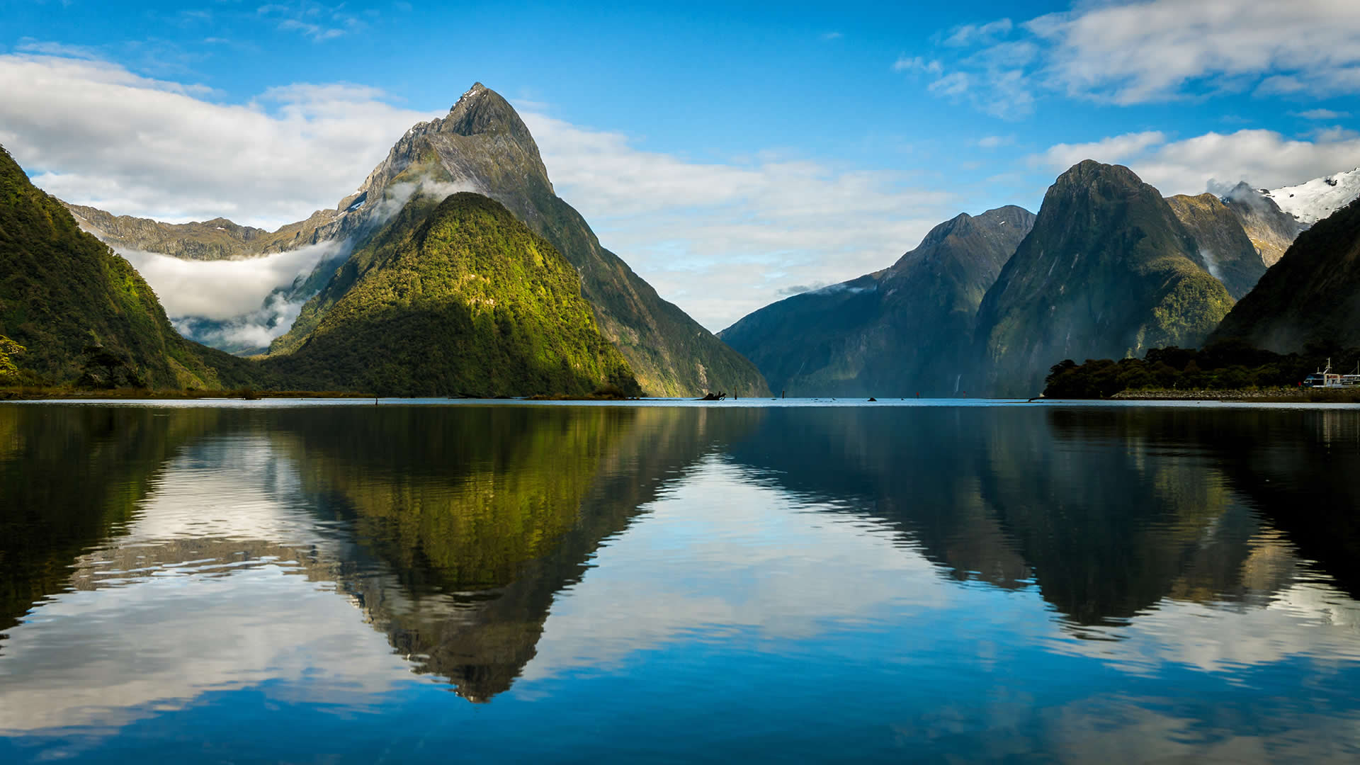 How to Work in New Zealand - Oyster