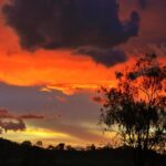 Orance, yellow and purple skies with a silhouette of the Australian bush on the top of the hill.