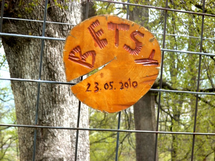 Betsy's plaque, commemorating her arrival to the bear sanctuary
