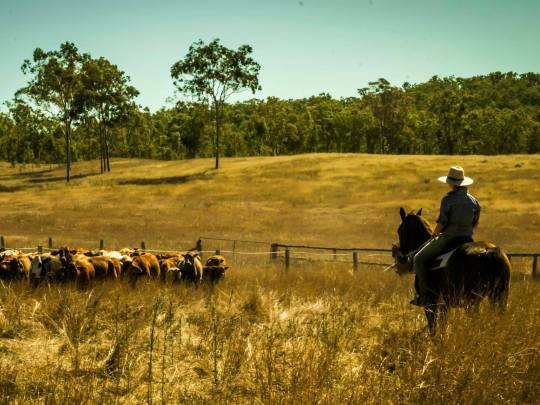 Paid Farm Work in Australia Fruit Picking Jobs Ranch 